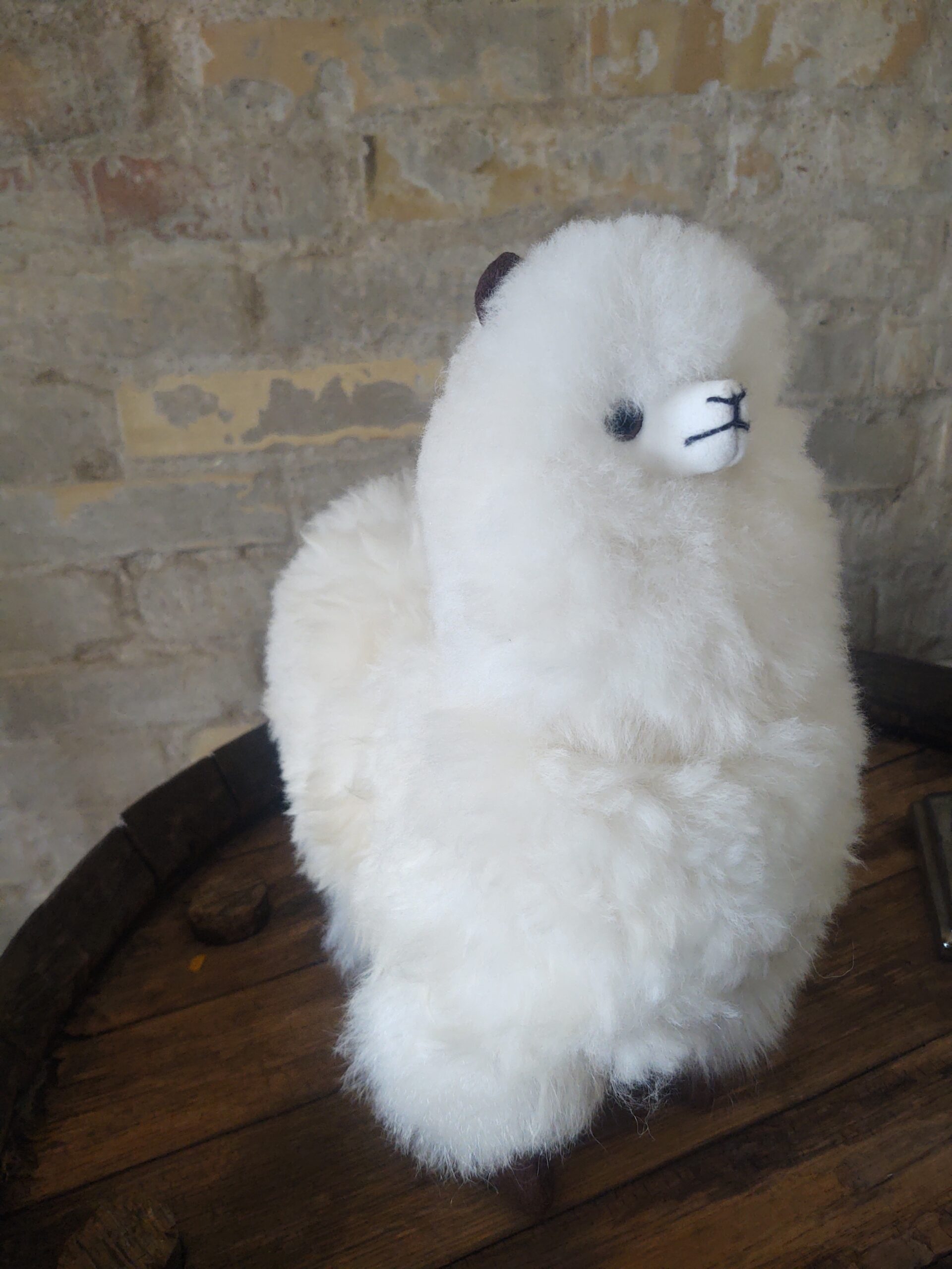 Alpaca Inka - Billede 3