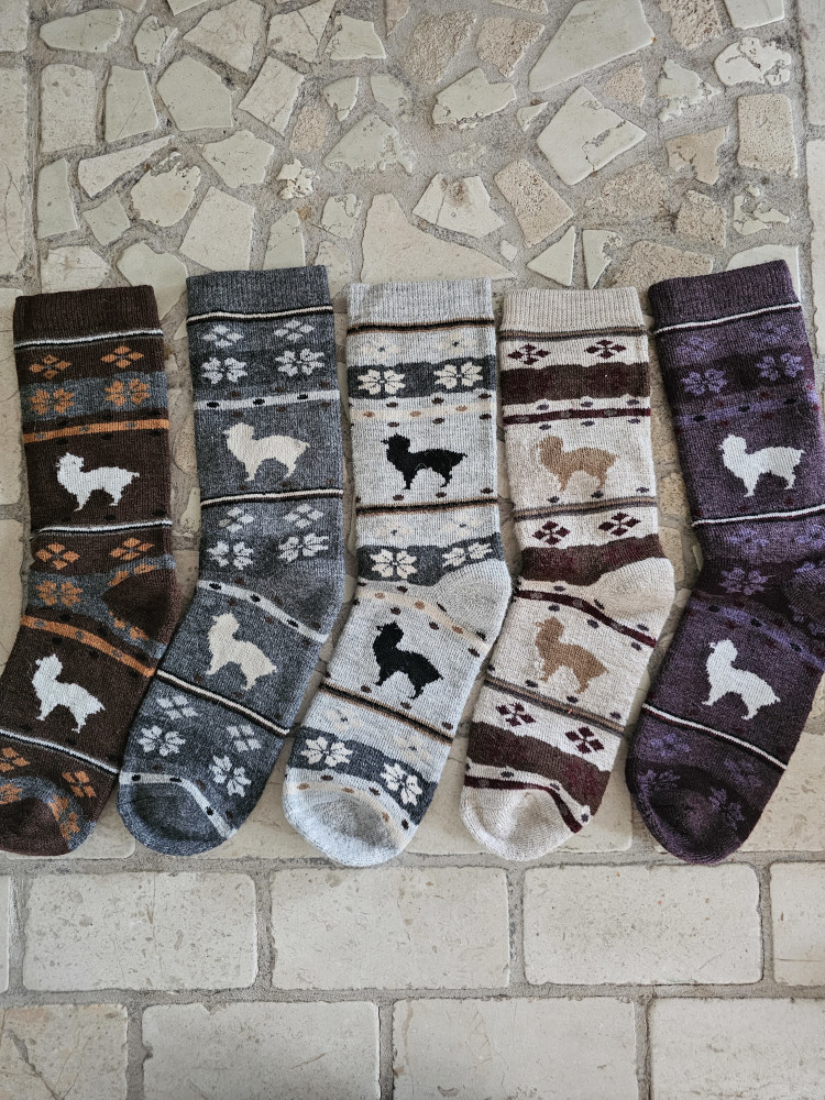 Strømpe LLAMITA Alpaca - Billede 2