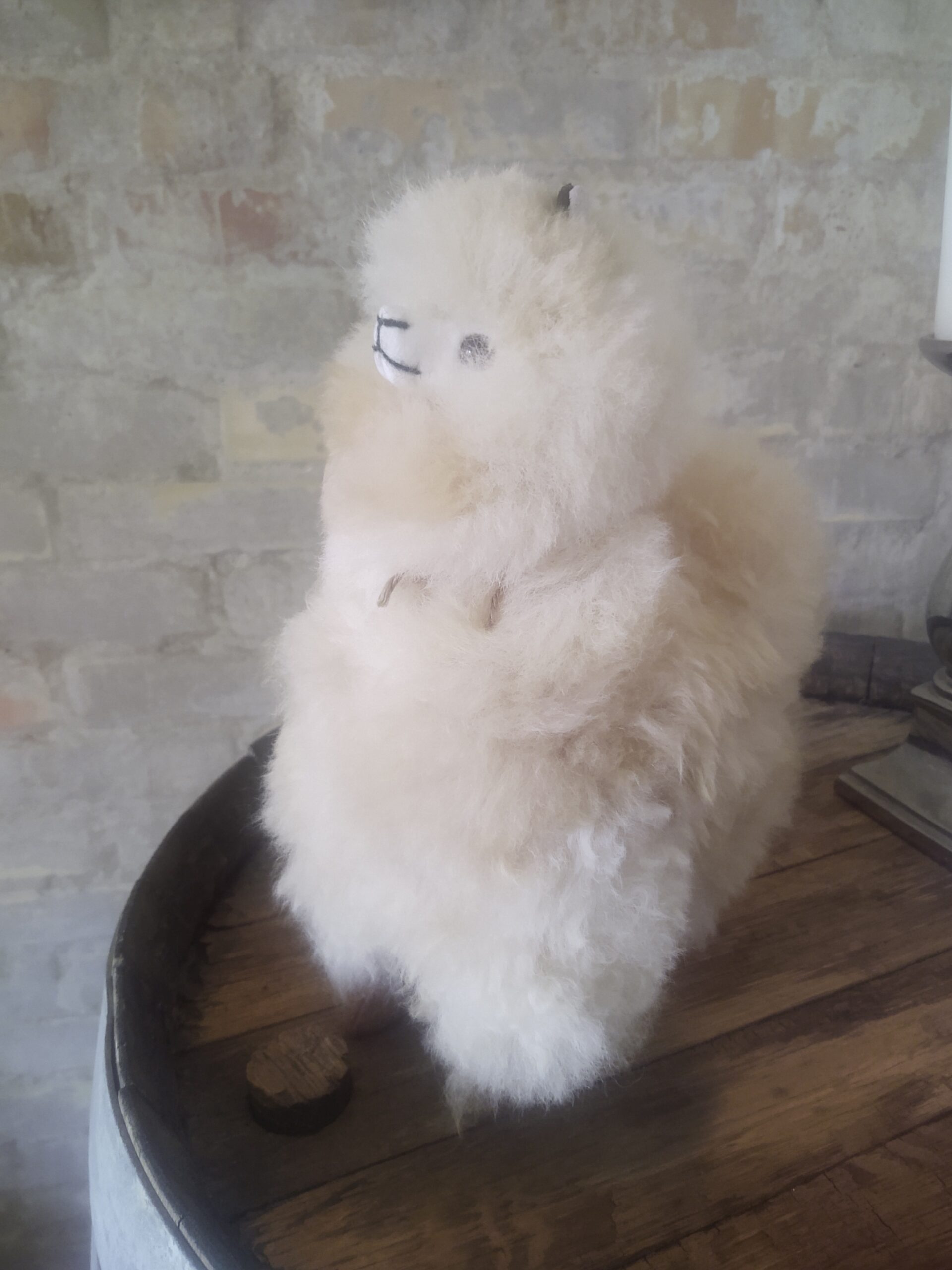 Alpaca Inka - Billede 7