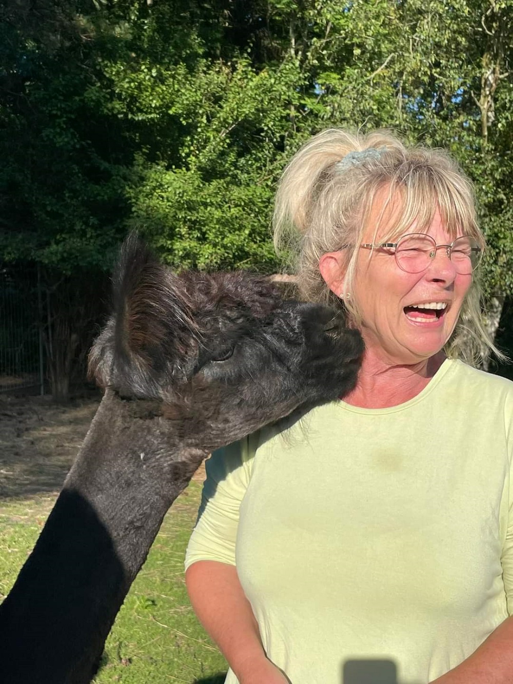 Gavekort til Alpacawalk - Billede 5