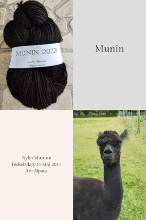 Alpaca garn Munin (2022)