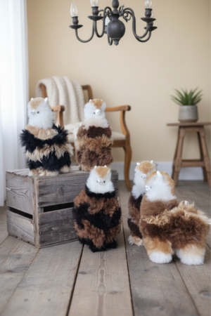 Alpaca Tricolor
